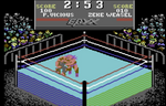 champwrestling-snapshot.jpg